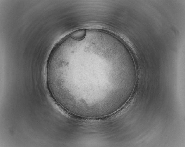 X0000111010840200906191610