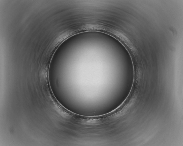 X0000111010841200906191610