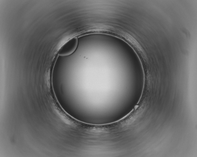 X0000111010842200906191610