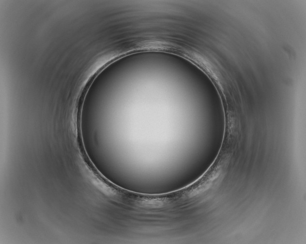 X0000111010843200906191610