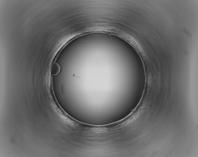X0000111010844200906191610