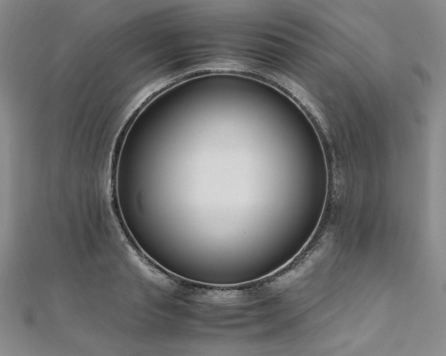 X0000111010845200906191610