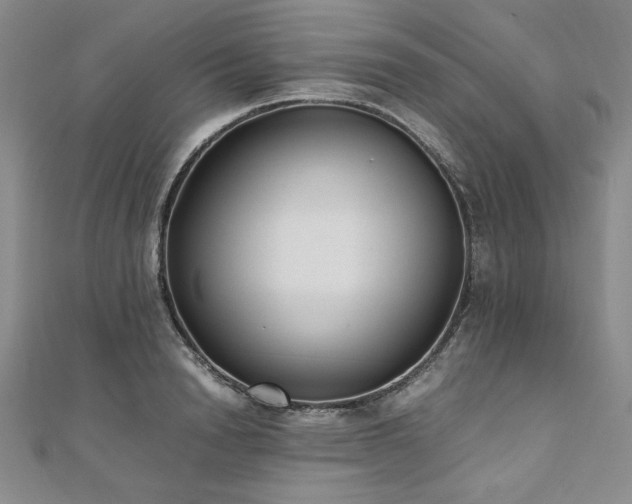 X0000111010846200906191610