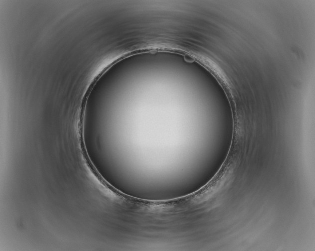 X0000111010847200906191610