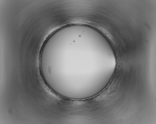X0000111010848200906191610