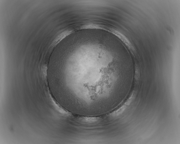 X0000111010849200906191610