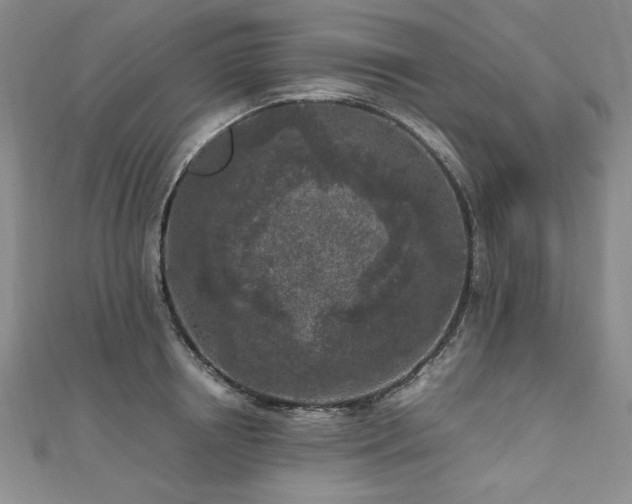 X0000111010850200906191610