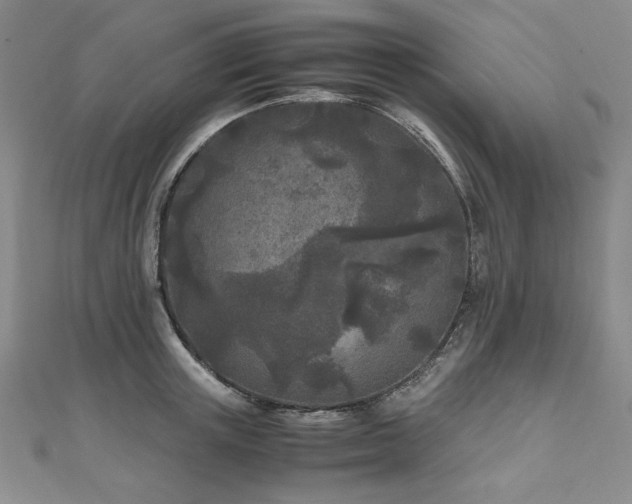 X0000111010851200906191610