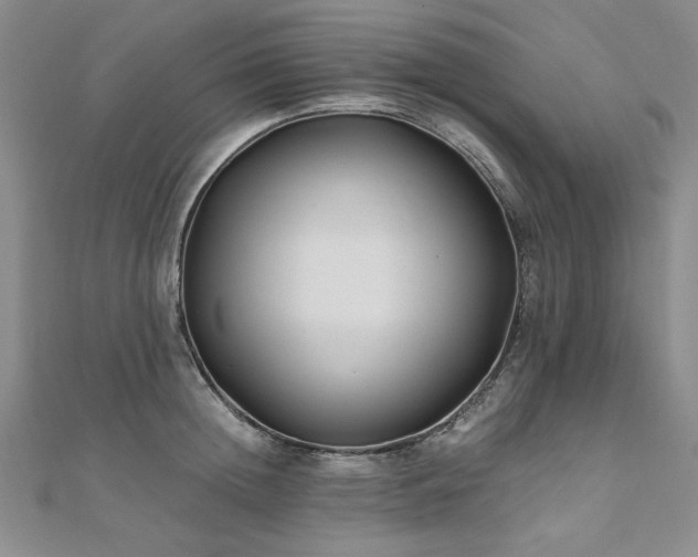 X0000111010852200906191610