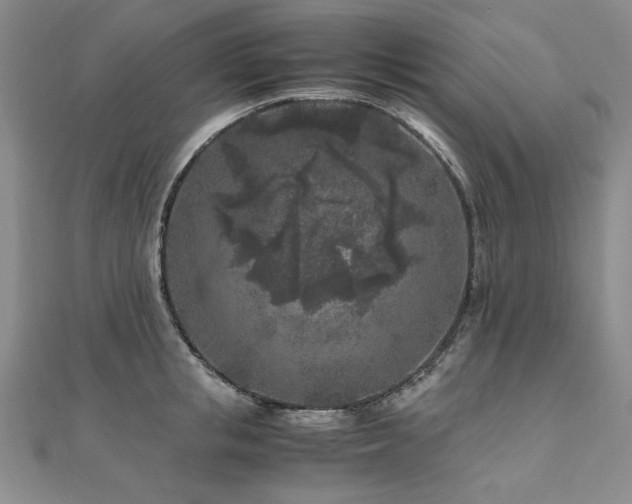 X0000111010853200906191610