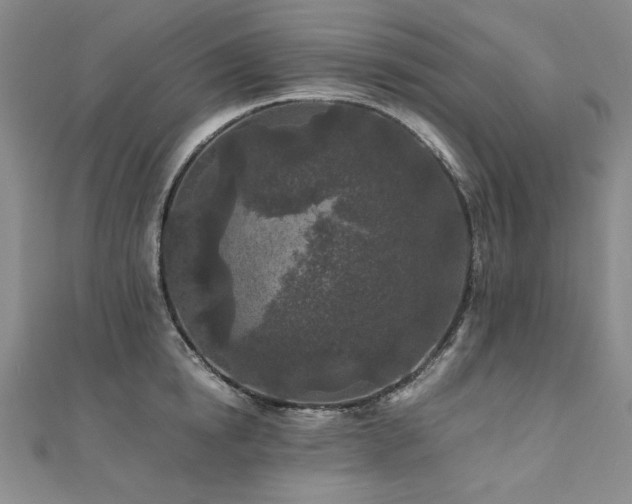 X0000111010854200906191610