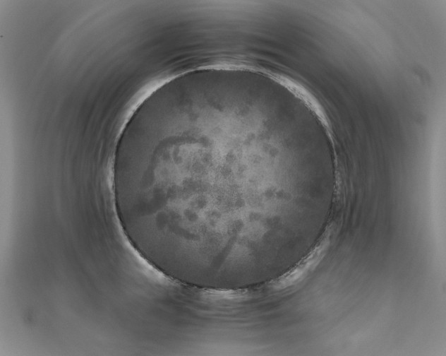 X0000111010855200906191610