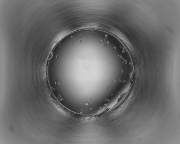 X0000111010858200906191610