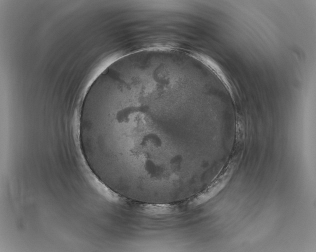 X0000111010859200906191610
