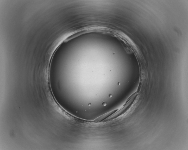 X0000111010860200906191610