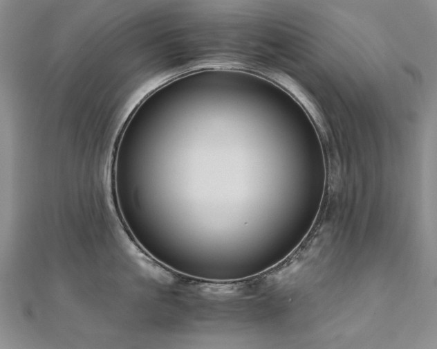 X0000111010861200906191610