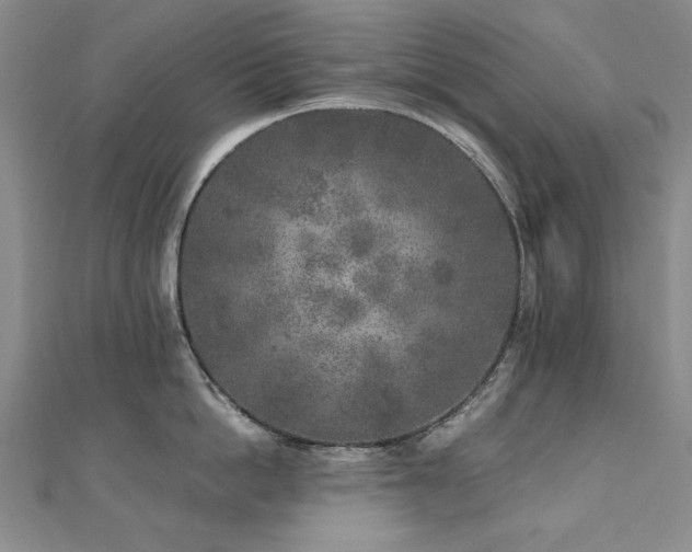 X0000111010862200906191610