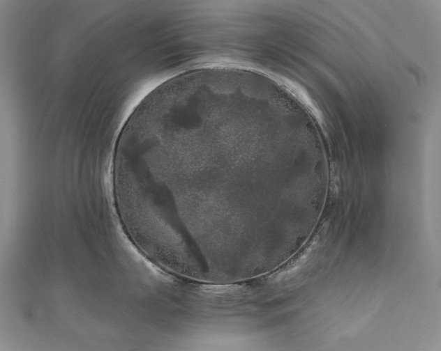 X0000111010863200906191610