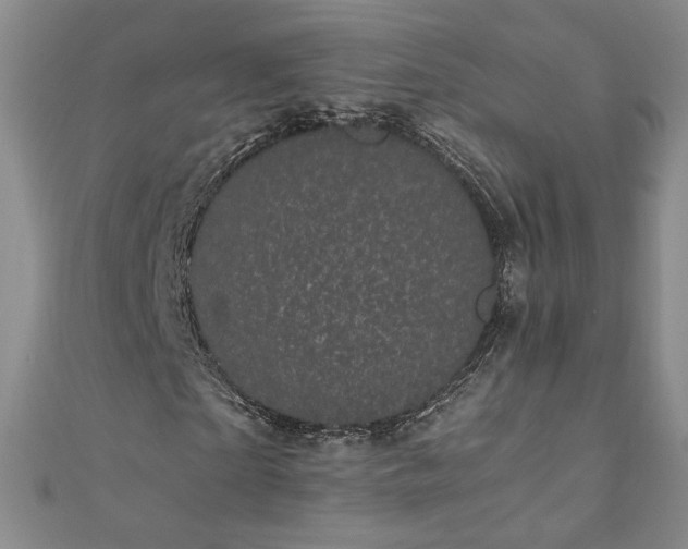 X0000111010865200906191610