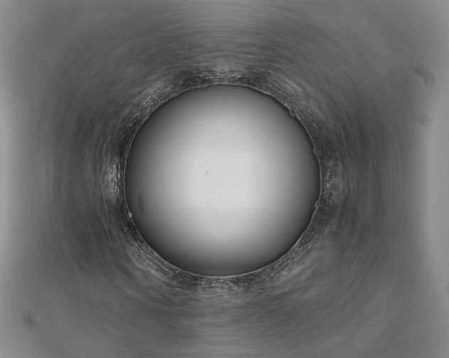X0000111010866200906191610