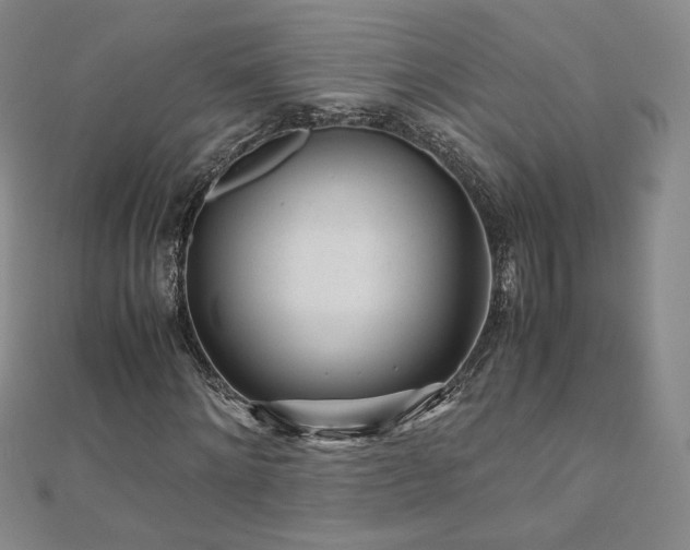X0000111010868200906191610