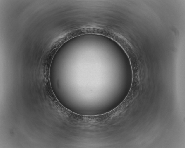 X0000111010870200906191610