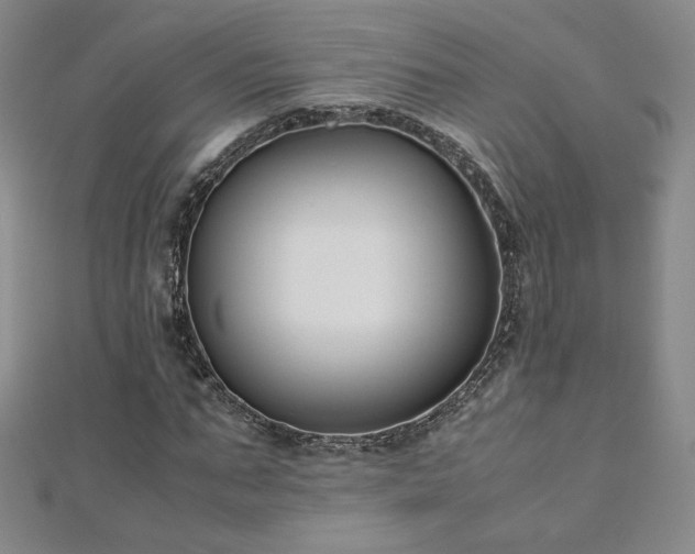 X0000111010871200906191610