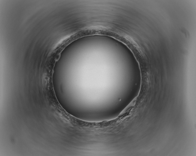 X0000111010872200906191610