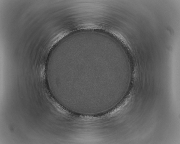 X0000111010873200906191610
