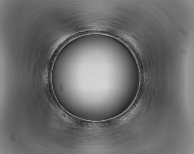 X0000111010875200906191610