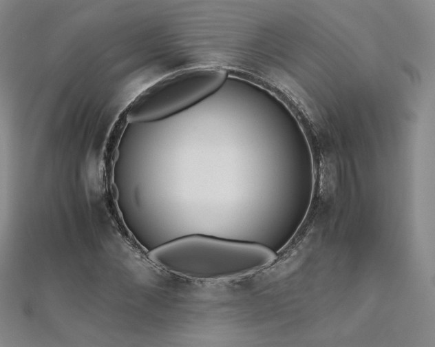X0000111010876200906191610