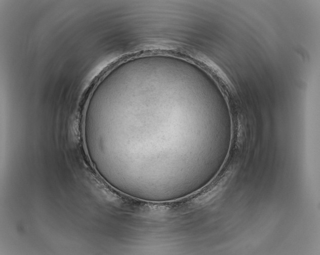 X0000111010878200906191610