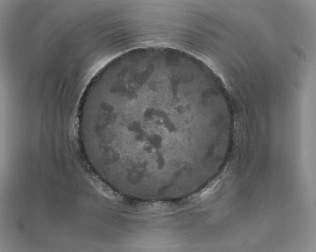 X0000111010879200906191610