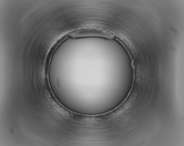 X0000111010880200906191610