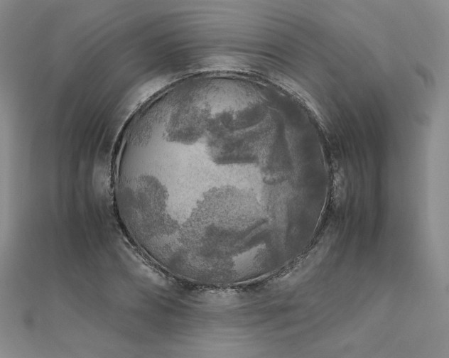 X0000111010882200906191610