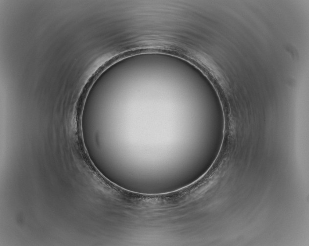 X0000111010883200906191609