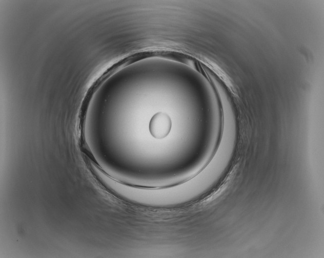 X0000111010885200906191609