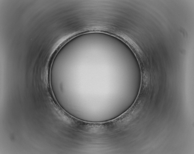 X0000111010886200906191609