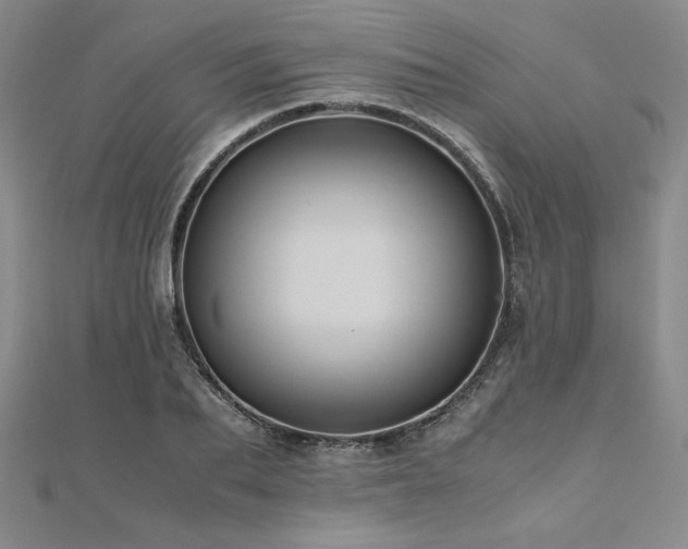 X0000111010887200906191609