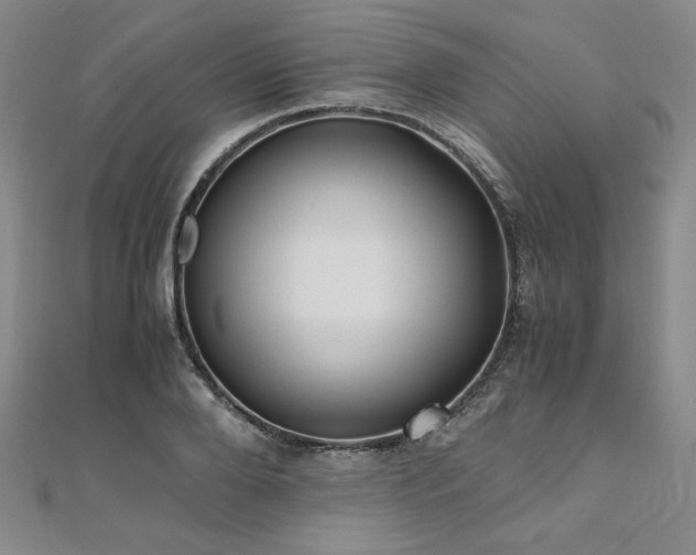 X0000111010888200906191609