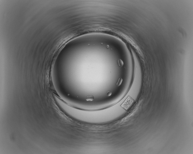 X0000111010889200906191609