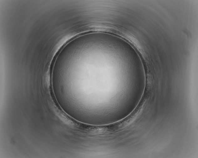 X0000111010891200906191609