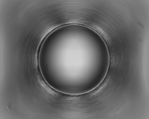 X0000111010892200906191609