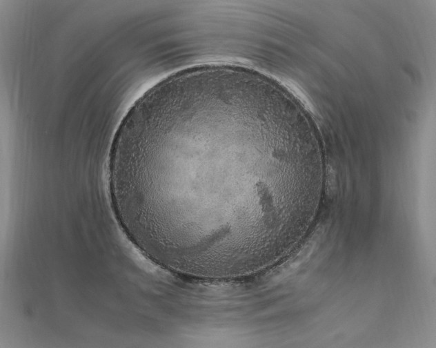 X0000111010895200906191609