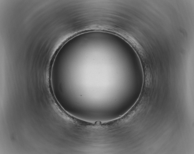X0000111010896200906191609