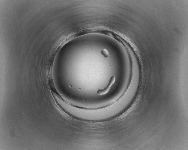 X0000111010897200906191609