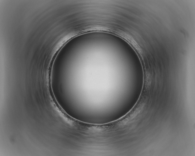 X0000111010898200906191609