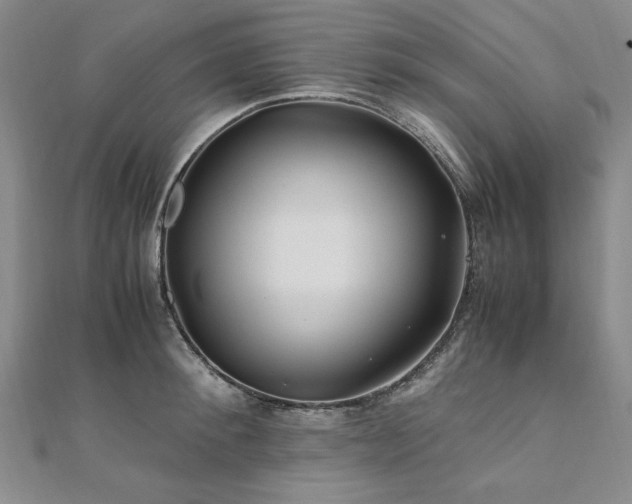 X0000111010900200906191609