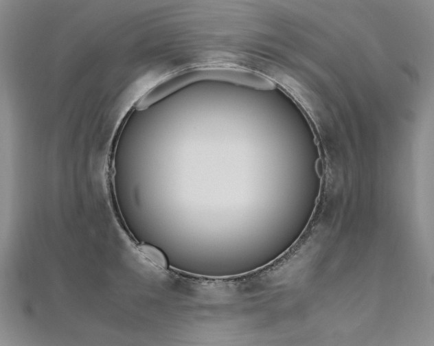 X0000111010901200906191609