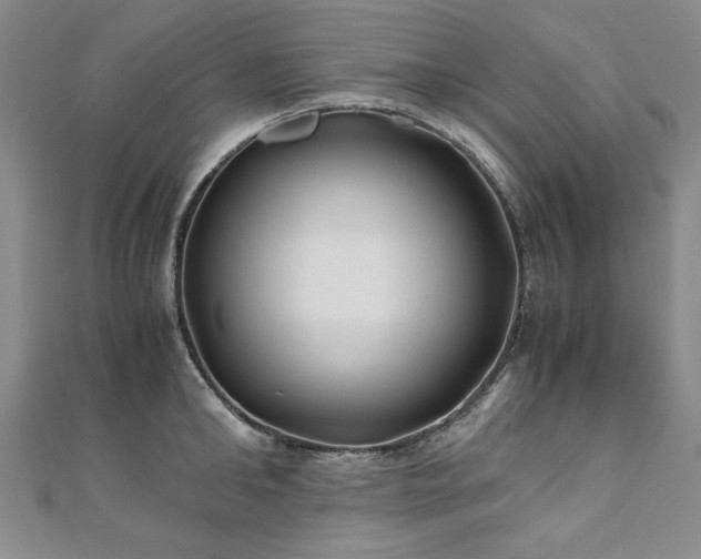 X0000111010902200906191609